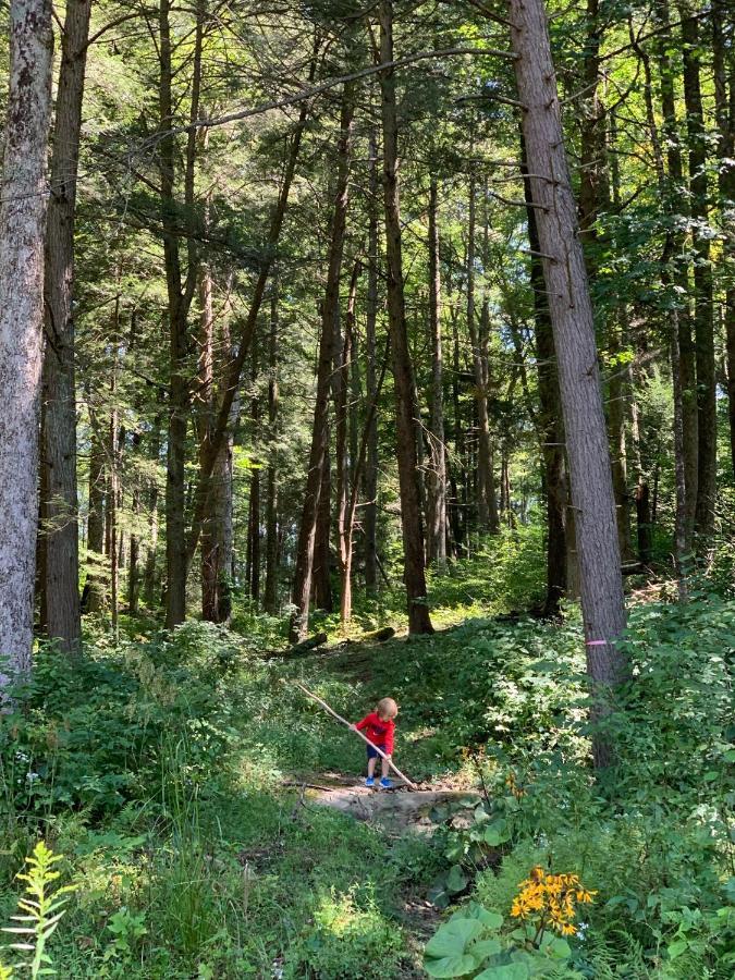 Beautiful Cabin On 83 Acres Near New River Gorge National Park Hico Екстер'єр фото