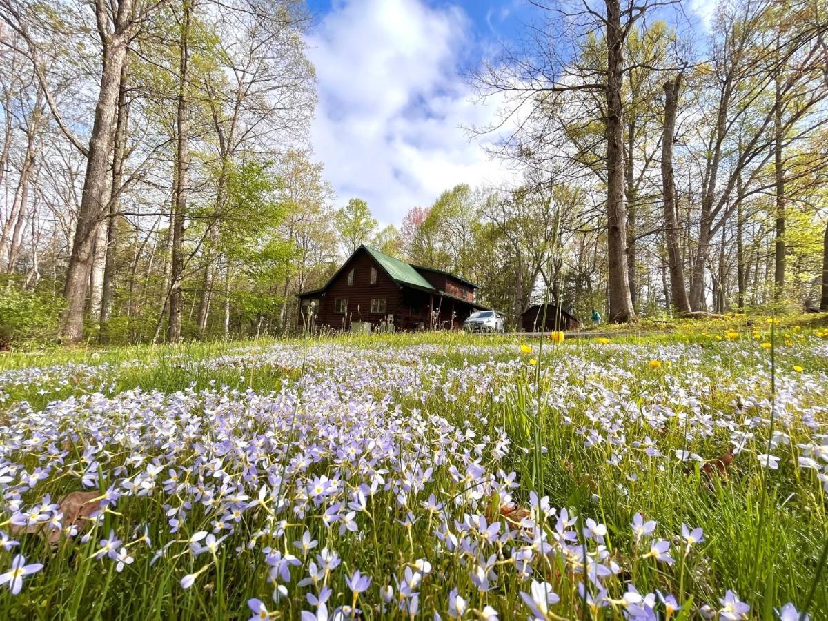 Beautiful Cabin On 83 Acres Near New River Gorge National Park Hico Екстер'єр фото