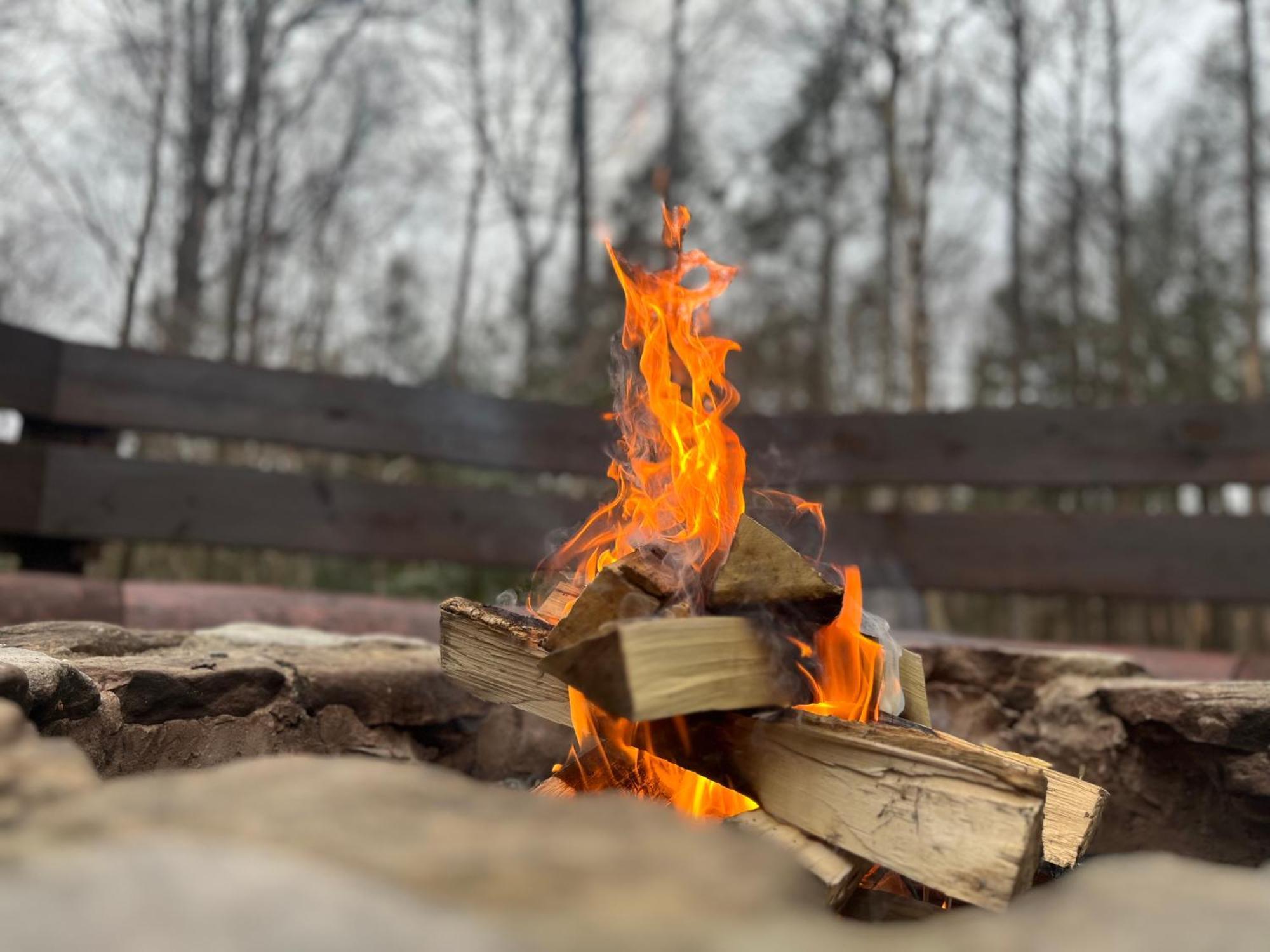 Beautiful Cabin On 83 Acres Near New River Gorge National Park Hico Екстер'єр фото