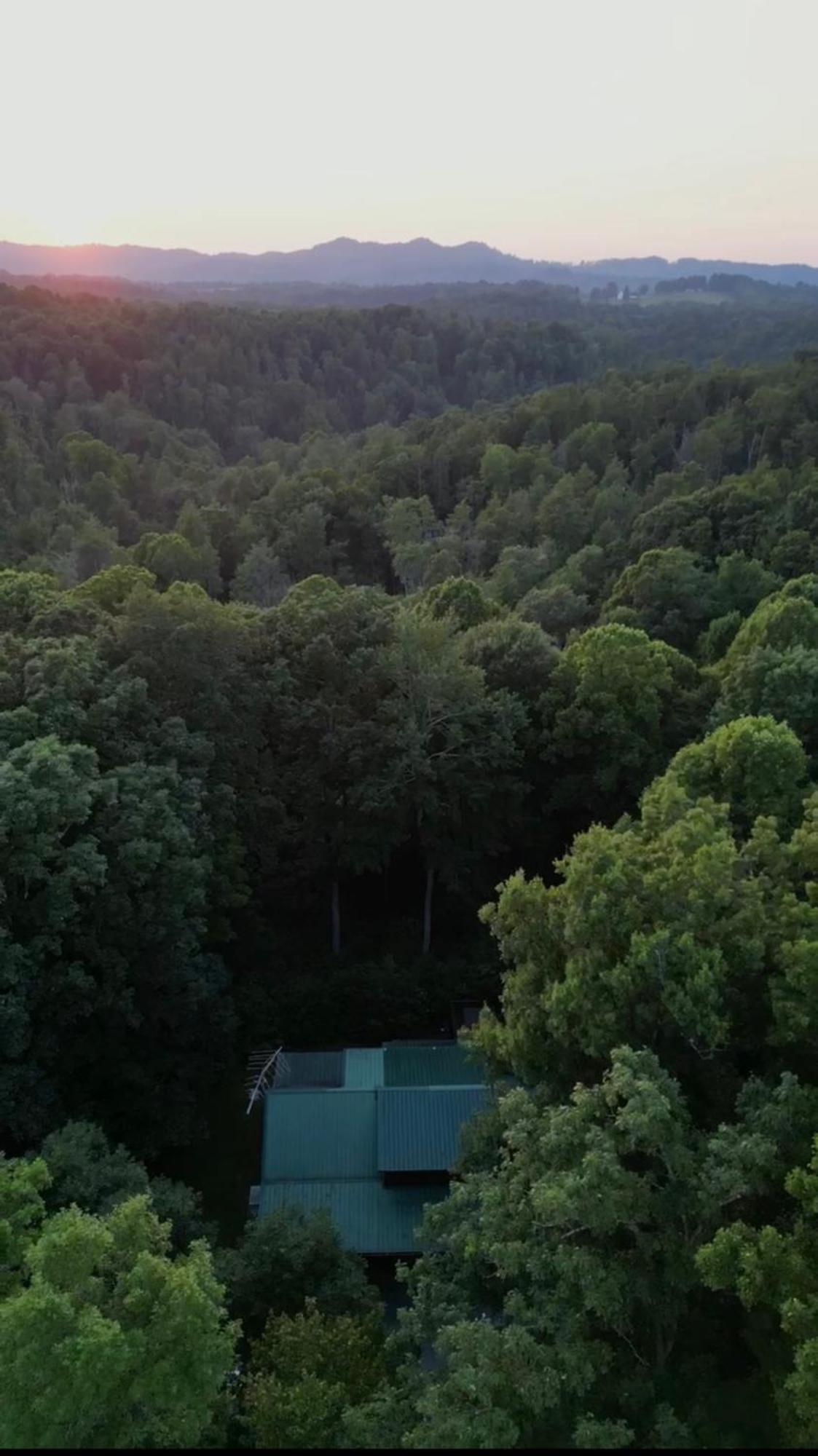 Beautiful Cabin On 83 Acres Near New River Gorge National Park Hico Екстер'єр фото